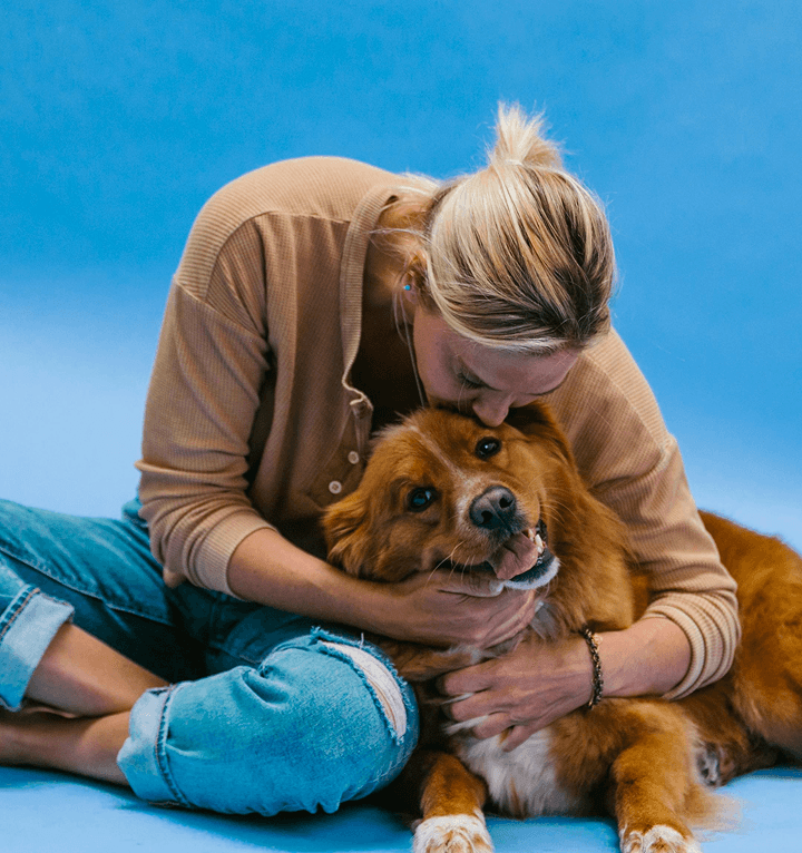 Pet care illustration